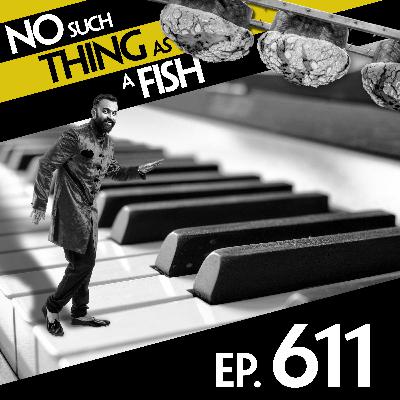 S1 Ep611: No Such Thing As A Forbidden Panettone