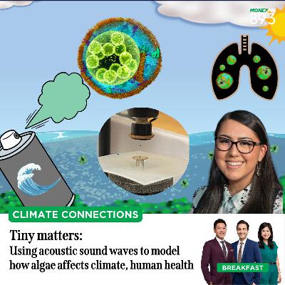 Climate Connections: Tiny matters - Using acoustic sound waves to model how algae affects climate, human health