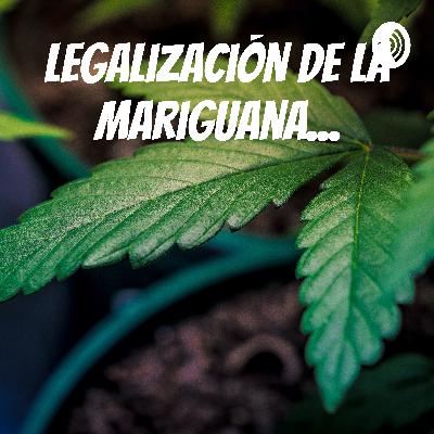 La legalización...🌿