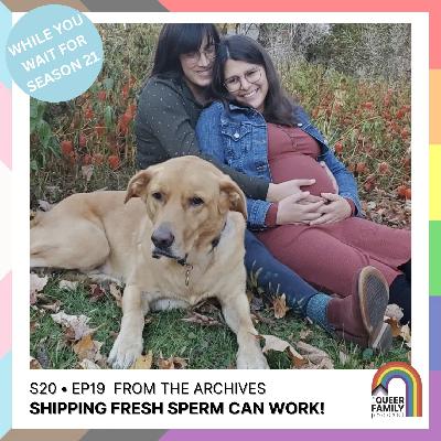 ARCHIVAL: Shipping Fresh Sperm Can Work!