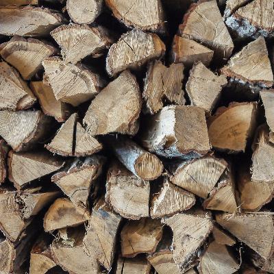 Qué sabemos de la leña