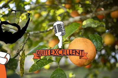 "The Orange" -  Wendy Cope