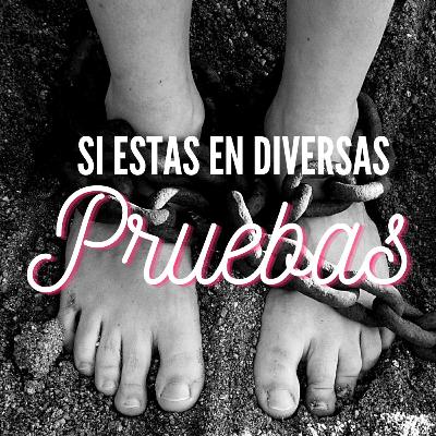 Si estás en Diversas Pruebas