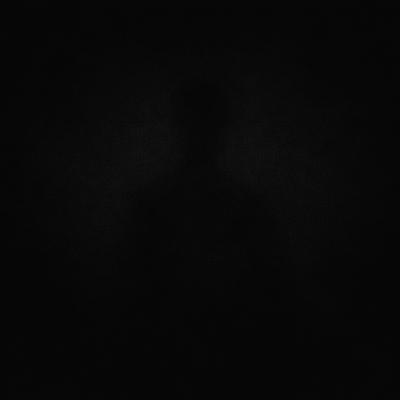 . . . .