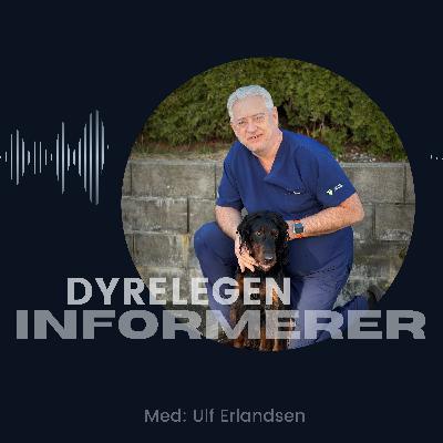 Velkommen til Dyrlegen informerer Velkommen til Dyrlegen informerer