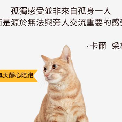 往內看，不內耗｜21 天靜心陪跑 Day 13
