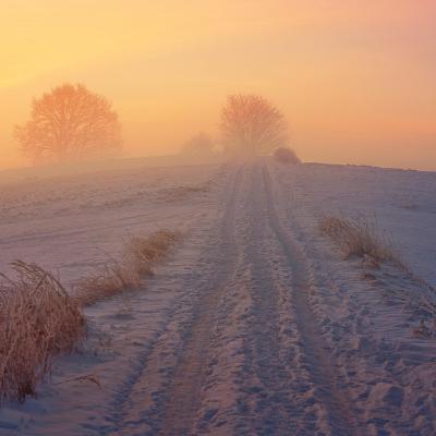 Adventkalender #13 Georg Ruppe