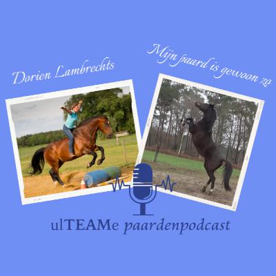 ulTEAMe paardenpodcast #020 – Mijn paard is gewoon zo
