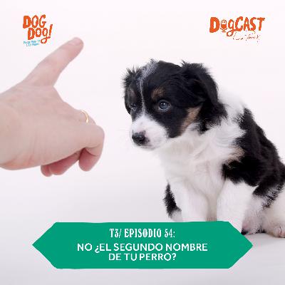 No ¿el segundo nombre de tu perro? PERRO MALO ¿Qué hace a un perro malo?