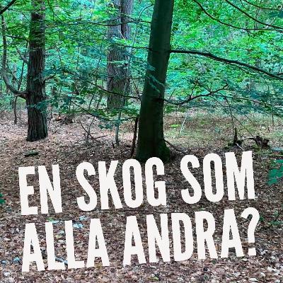 En skog som alla andra? En skog som alla andra?