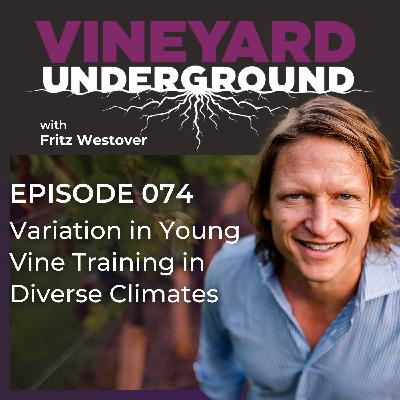 074: Variation in Young Vine Training in Diverse Climates