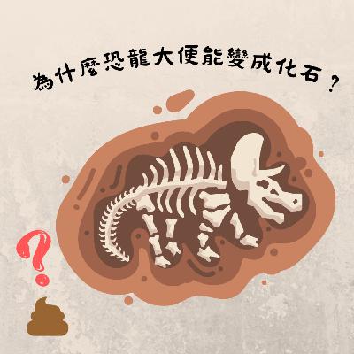 EP2 為什麼恐龍大便能變成化石？