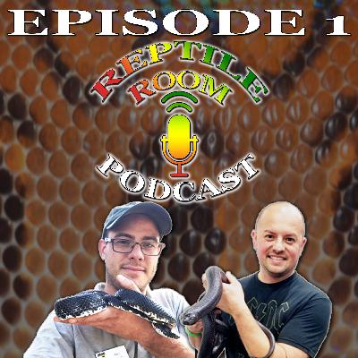 Episode 1 - Who Are These Guys?!