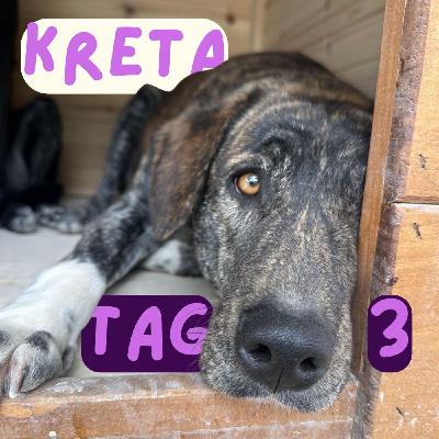 Reisetagebuch Kreta: Tag DREI Reisetagebuch Kreta: Tag DREI