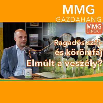 Ragadós száj- és körömfájás – jók a kilátások, de nem dőlhetünk hátra | Dr. Pásztor Szabolcs országos főállatorvossal beszélgettünk (176)