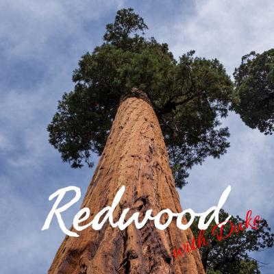 Johnathon Miranda E2