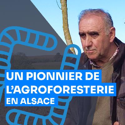 12 Ans d’Agroforesterie pour des Terres Fertiles en Alsace, Roland Wendling