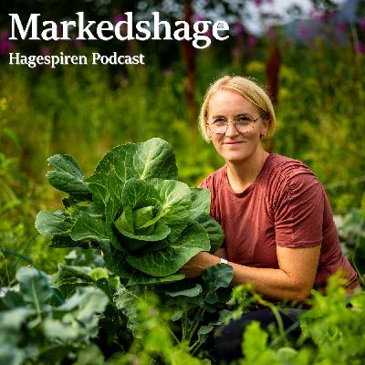 45/25: Markedshage med Sigrid Langen Kjelbergnes