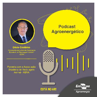 Decio Coutinho - Presidente-executivo da Associação Brasileira de Reciclagem Animal - ABRA