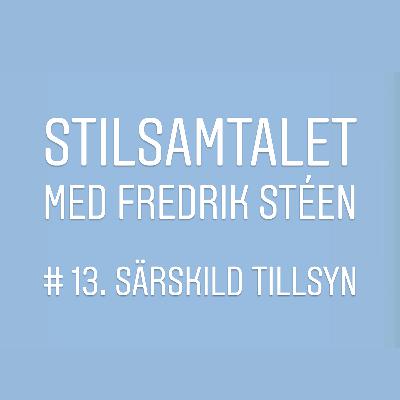 13. Särskild tillsyn