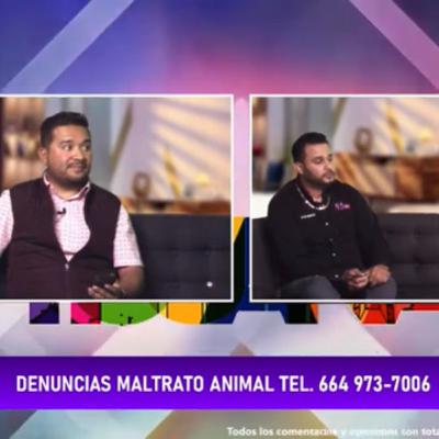 VIVA TIJUANA/MALTRATO ANIMAL
