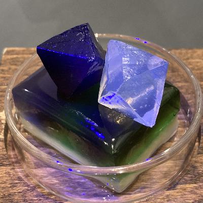 #12 標本が見れる喫茶店【自然の推しを語るラジオ】