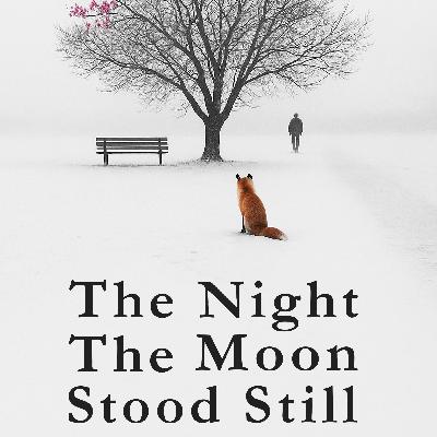 The Night The Moon Stood Still