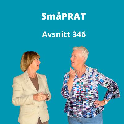 Avsnitt 346, småprat