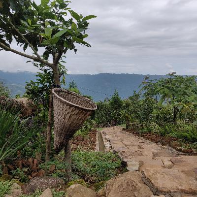 Life In Kongthong Meghalaya | An Indian Village Where Every Person’s Name Is A Song Life In Kongthong Meghalaya | An Indian Village Where Every Person’s Name Is A Song