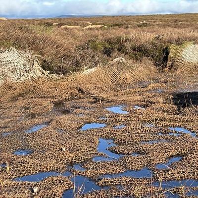 Leitrim farmers pioneering large-scale wetland restoration