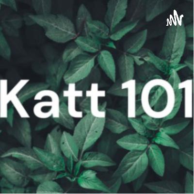 Katt 1On1 Talks Back to School and Kids Safety With Podcaster Ash B