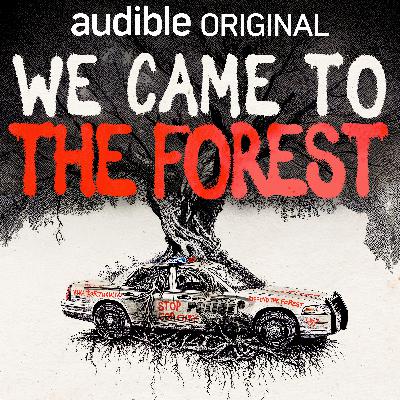 Introducing: We Came To The Forest