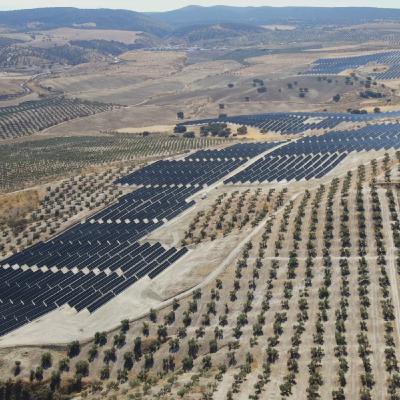 La canibalización solar en España llevará a refinanciar casi todos los parques fotovoltaicos durante los próximos años
