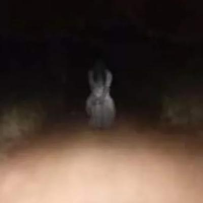 Alma en Pena