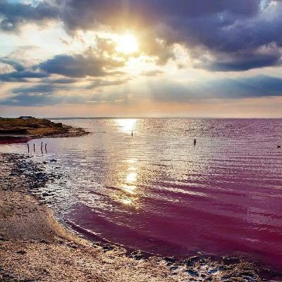 Gabbin' with Gary! with Ivan Melnychenko This was an anonymous Interview PT2 Gabbin' with Gary! with Ivan Melnychenko This was an anonymous Interview PT2