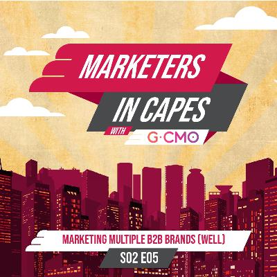 Marketing Multiple B2B Brands (Well): Melissa Zeloof, VP Marketing at ironSource