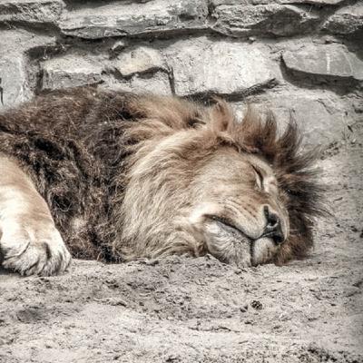 Feb 21 A Doomsday Prediction