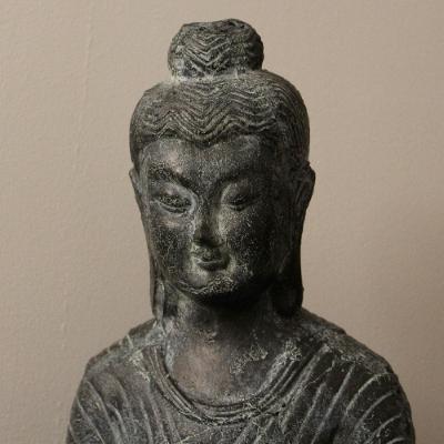 Ep. 526 Riflessioni sulle meditazioni di Vipassana Ep. 526 Riflessioni sulle meditazioni di Vipassana