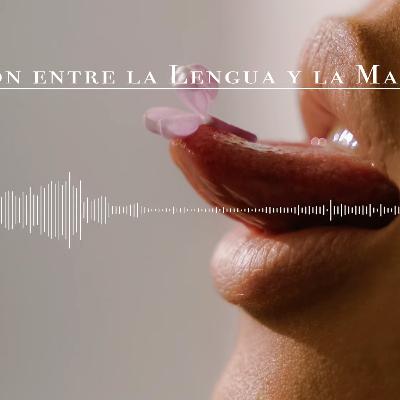 Clase del método Feldenkrais 29: Relación entre la Lengua y la Mandíbula Clase del método Feldenkrais 29: Relación entre la Lengua y la Mandíbula
