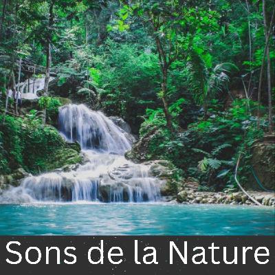 Tempête de pluie contre la fenêtre de la chambre – 10 heures pour dormir, méditer et se détendre Tempête de pluie contre la fenêtre de la chambre – 10 heures pour dormir, méditer et se détendre