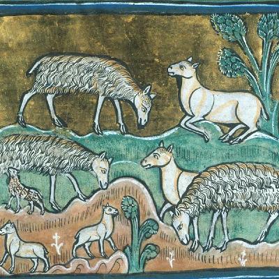 Medieval Land Mgmt 8: Livestock Medieval Land Mgmt 8: Livestock