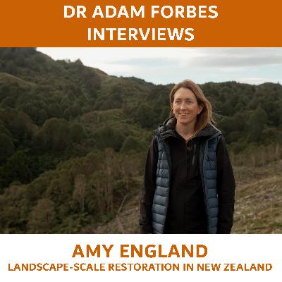 Restoring Waingake: Transforming Plantation Clearfells into Thriving Native Forests - A Conversation with Amy England