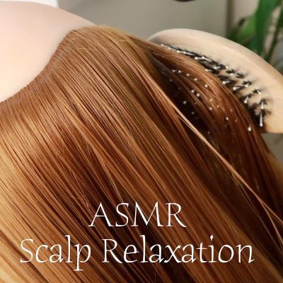 ASMR Realistic Hair Brushing, Scalp Scaling, Massage, Spray ASMR Realistic Hair Brushing, Scalp Scaling, Massage, Spray