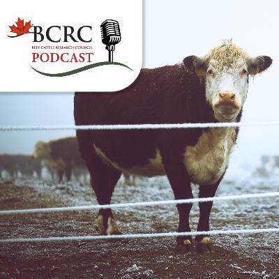 Episode 107: Think you have a closed herd?