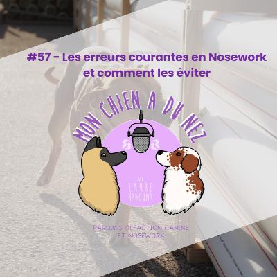 #57 - Les erreurs courantes en Nosework et comment les éviter