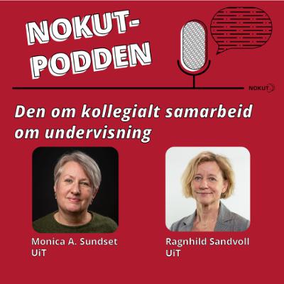Den om kollegialt samarbeid om undervisning Den om kollegialt samarbeid om undervisning