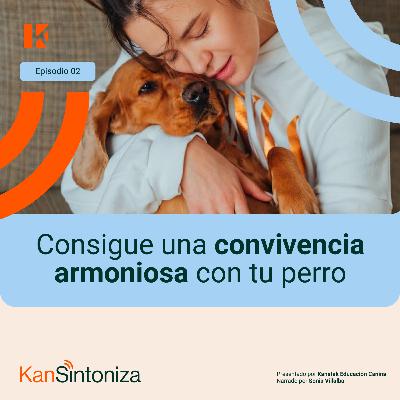 Consigue una convivencia armoniosa con tu perro