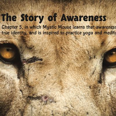 Chapter 5 - The Story of Awareness