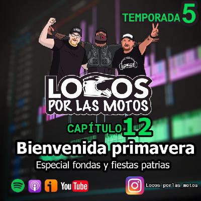 T5 Capítulo 12 - Bienvenida primavera T5 Capítulo 12 - Bienvenida primavera