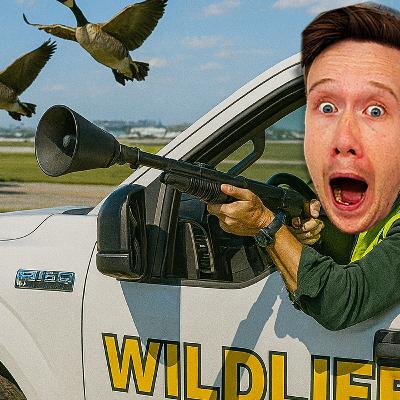 MIDWEEKLY: Airport Jobs You Never Knew Existed 🚒🐦